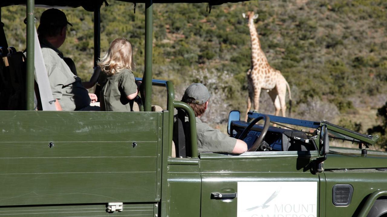 Mount Camdeboo Private Game Reserve By Newmark Graaff Reinet Bagian luar foto