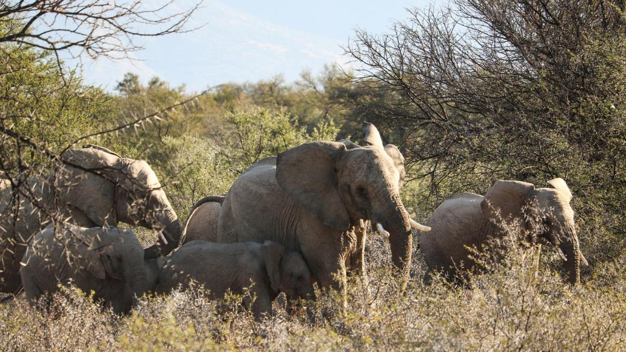 Mount Camdeboo Private Game Reserve By Newmark Graaff Reinet Bagian luar foto